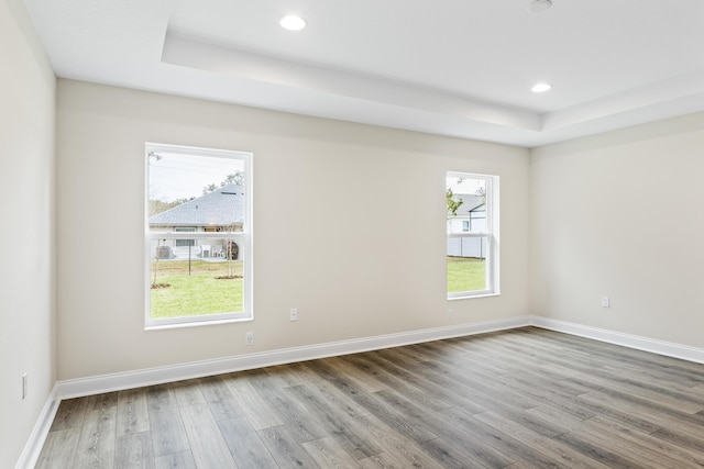 spare room featuring a tray ceiling, wood finished floors, and a wealth of natural light