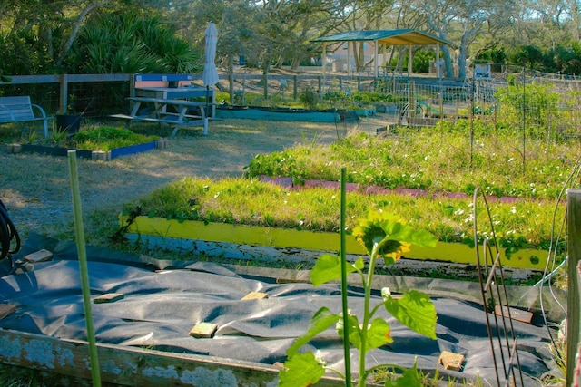 136 Lawn Ave, Saint Augustine, FL 32084 - surrounding community with a vegetable garden