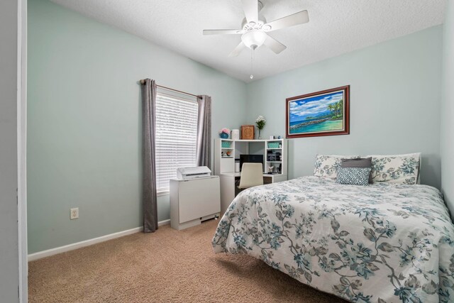 196 Prince Phillip Dr, Saint Augustine, FL 32092 - photo 13