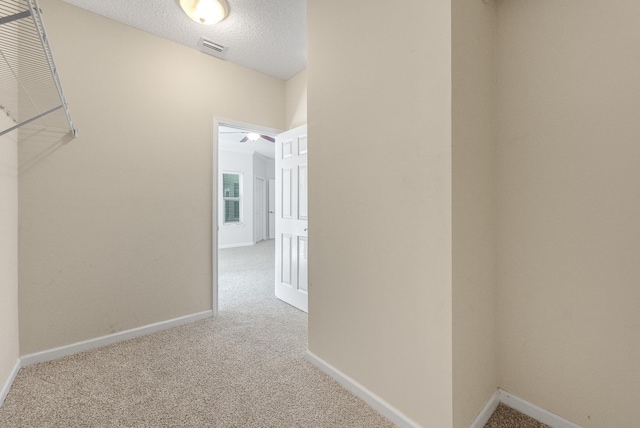 5827 Green Rd, Middleburg, FL 32068 - corridor featuring carpet, baseboards, and a textured ceiling