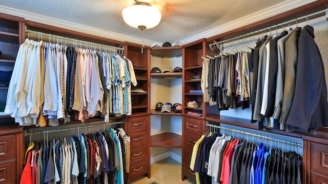 walk in closet with light colored carpet