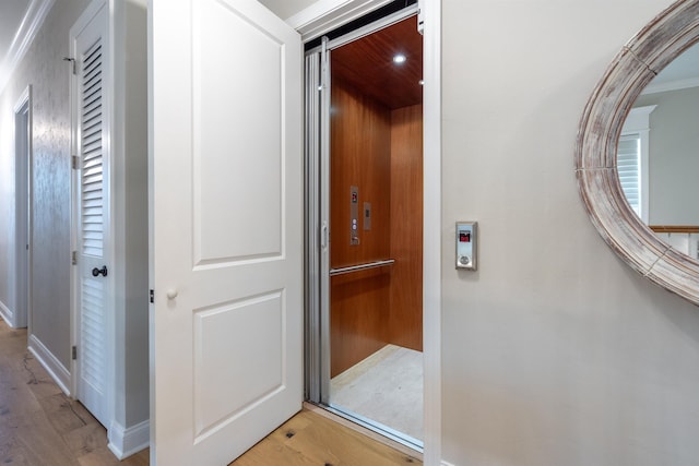 hall with elevator and light hardwood / wood-style flooring