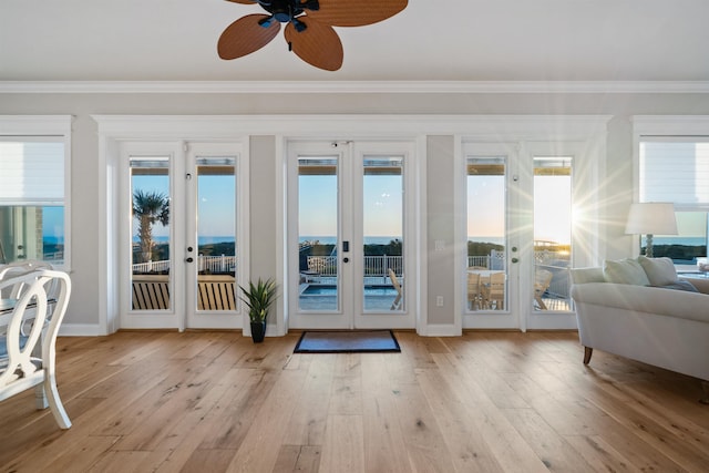 doorway featuring ornamental molding, a wealth of natural light, and light wood-type flooring