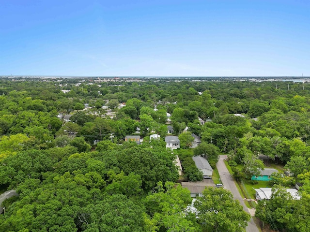 461 S Nassau St, Saint Augustine, FL 32084 - bird's eye view of a forest