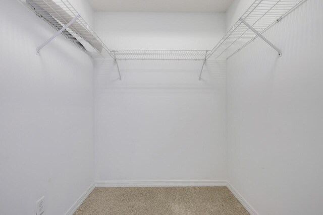 walk in closet with carpet floors