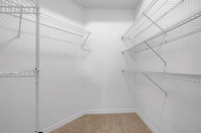 spacious closet with carpet