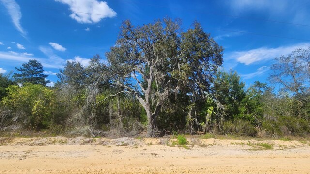 0 Birch St, Interlachen FL, 32148 land for sale