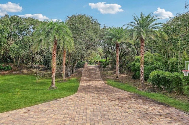1332 Ponte Vedra Blvd, Ponte Vedra Beach, FL 32082 - photo 40
