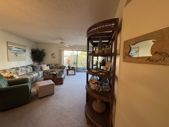 102 Pacifica Vista Way, Saint Augustine, FL 32080 - photo 14