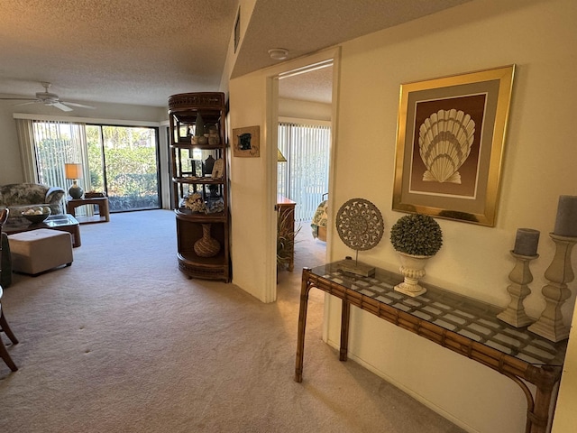 102 Pacifica Vista Way, Saint Augustine, FL 32080 - photo 9