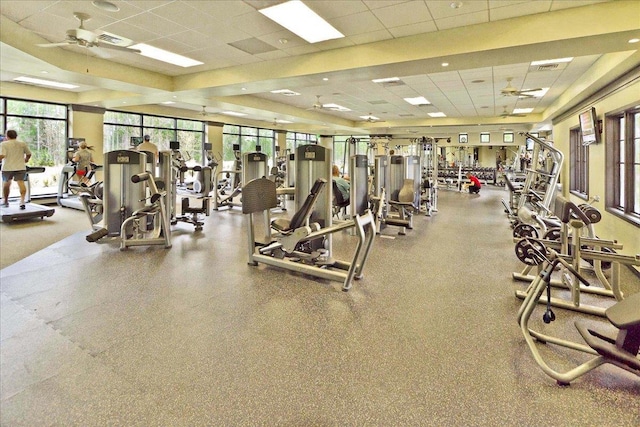 workout area featuring a drop ceiling, visible vents, ceiling fan, and a tray ceiling