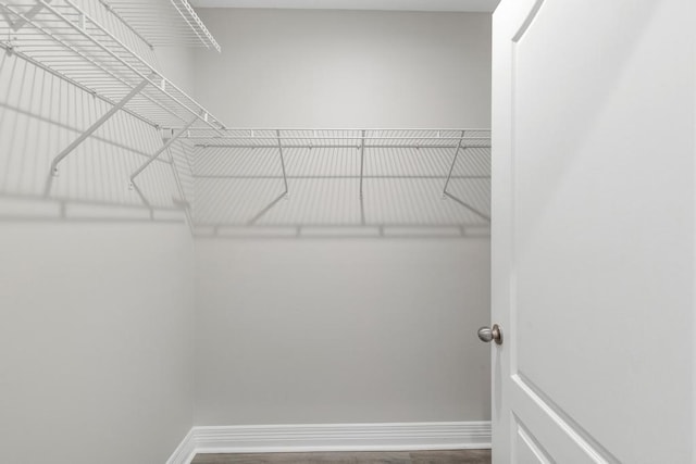 spacious closet with wood finished floors