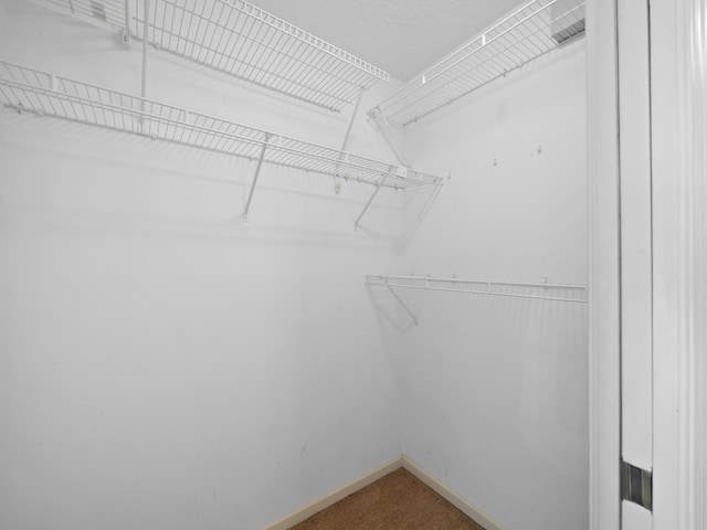 spacious closet featuring carpet