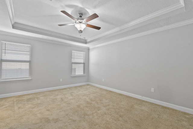 181 Narvarez Ave, Saint Augustine, FL 32084 - unfurnished room with a ceiling fan, ornamental molding, carpet floors, and a raised ceiling