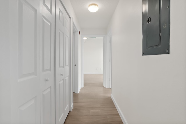 corridor featuring electric panel and light hardwood / wood-style floors