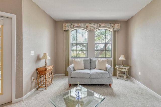 2202 Vista Cove Rd, Saint Augustine, FL 32084 - carpeted living area featuring baseboards