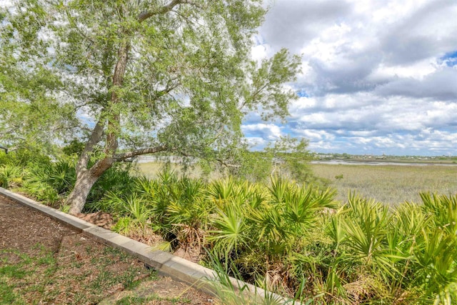 2202 Vista Cove Rd, Saint Augustine, FL 32084 - view of yard