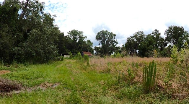 310 E River Rd, East Palatka, FL 32131 - photo 9