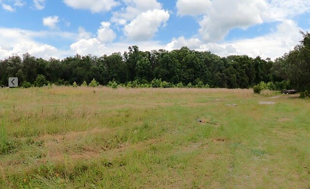 310 E River Rd, East Palatka, FL 32131 - photo 7