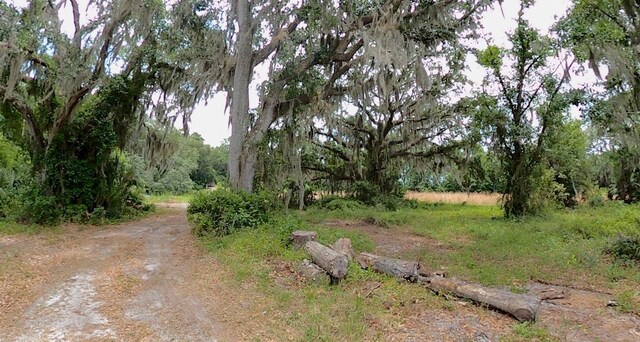 310 E River Rd, East Palatka, FL 32131 - photo 8