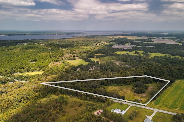 310 E River Rd, East Palatka, FL 32131 - photo 4