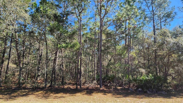 Theresa Ave, Interlachen FL, 32148 land for sale