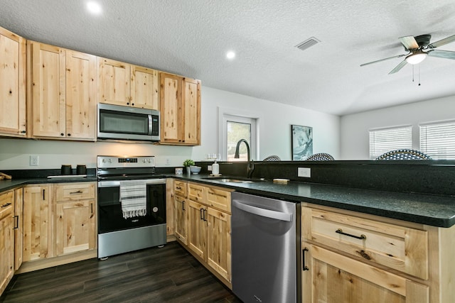 kitchen featuring a wealth of natural light, dark hardwood / wood-style flooring, sink, and appliances with stainless steel finishes