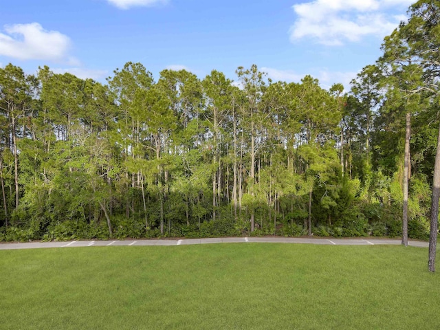 520 Florida Club Blvd Unit 310, Saint Augustine, FL 32084 - surrounding community with a lawn