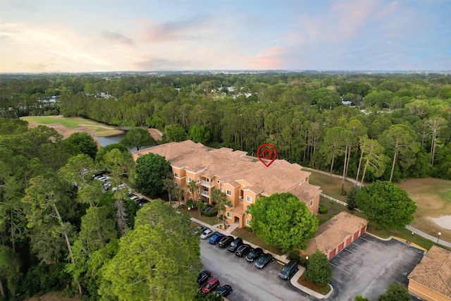 520 Florida Club Blvd Unit 310, Saint Augustine, FL 32084 - drone / aerial view featuring a forest view