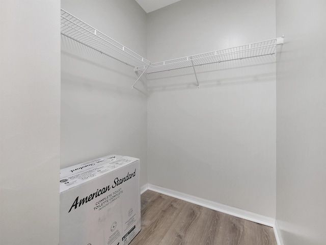 520 Florida Club Blvd Unit 310, Saint Augustine, FL 32084 - walk in closet with wood finished floors