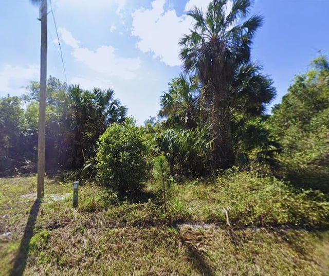 429 Birch Blvd, Georgetown, FL 32139