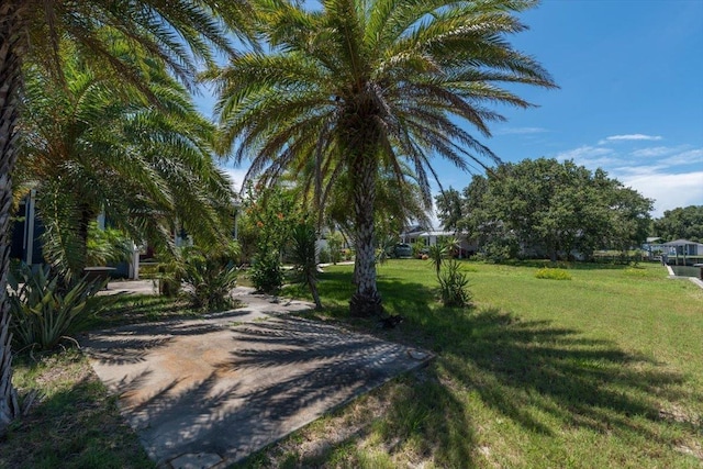 6342 Salado Rd, Saint Augustine, FL 32080 - photo 55