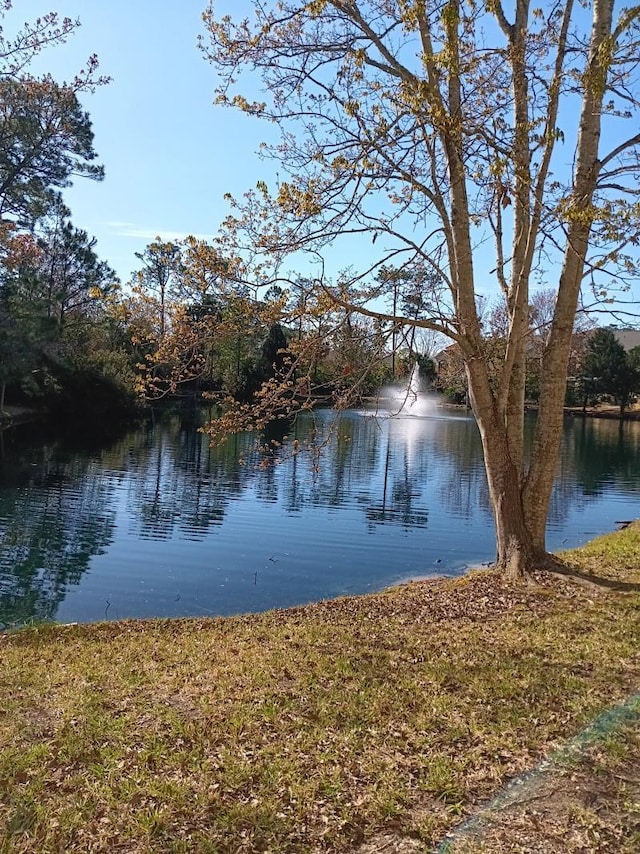 view of water feature