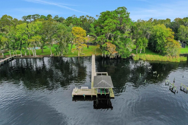 view of dock with a water view