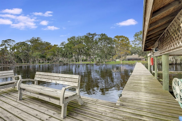 dock area featuring a water view