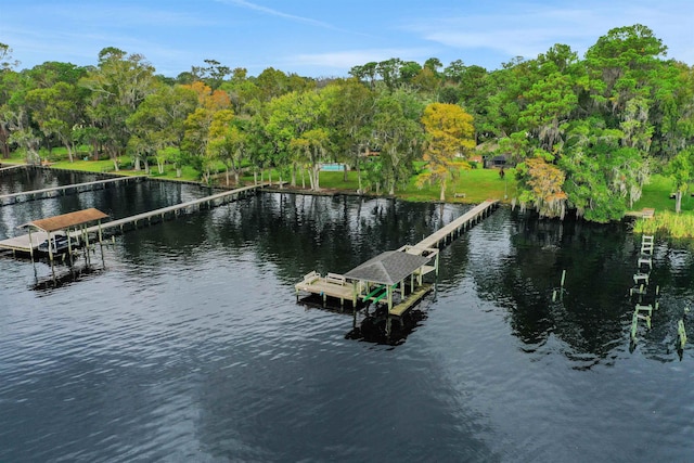 view of dock featuring a water view