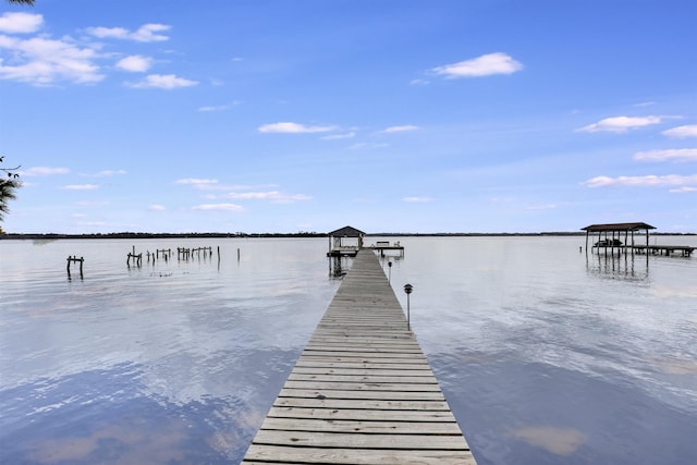 dock area with a water view