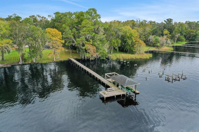 dock area featuring a water view