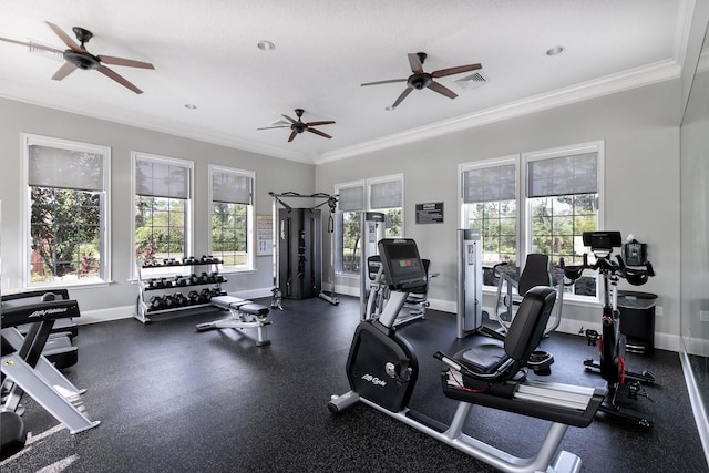 gym with ornamental molding