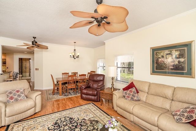 living room with crown molding, hardwood / wood-style floors, ceiling fan with notable chandelier, and a textured ceiling