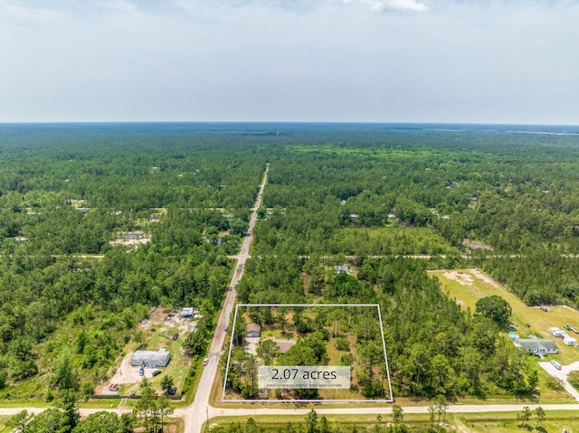 4405 Alvin St, Hastings, FL 32145 - aerial view of property and surrounding area featuring a heavily wooded area and property boundaries highlighted
