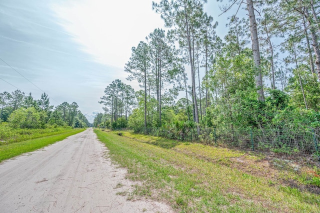 4405 Alvin St, Hastings, FL 32145 - view of dirt / gravel road