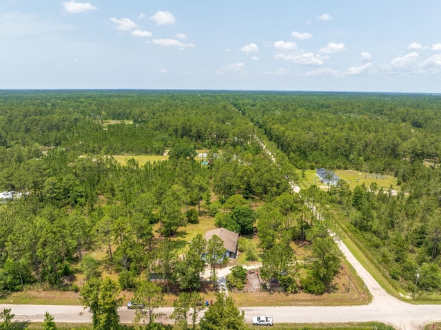 4405 Alvin St, Hastings, FL 32145 - bird's eye view of a heavily wooded area