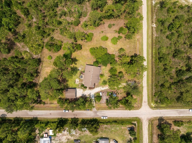 4405 Alvin St, Hastings, FL 32145 - aerial view