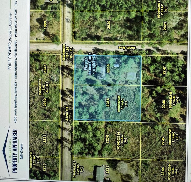 4405 Alvin St, Hastings, FL 32145 - aerial map of property and surrounding area