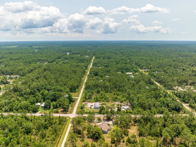 4405 Alvin St, Hastings, FL 32145 - bird's eye view of a forest