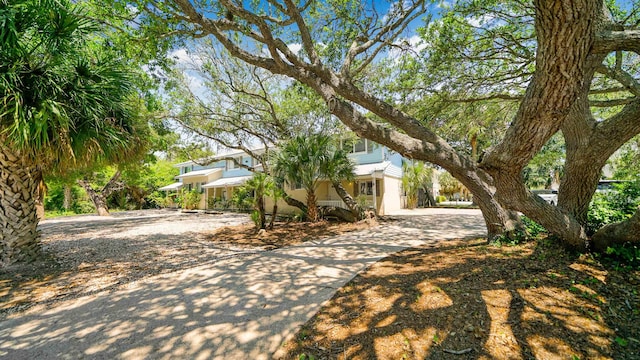 108 A St Unit A, Saint Augustine, FL 32080 - view of property hidden behind natural elements with stucco siding