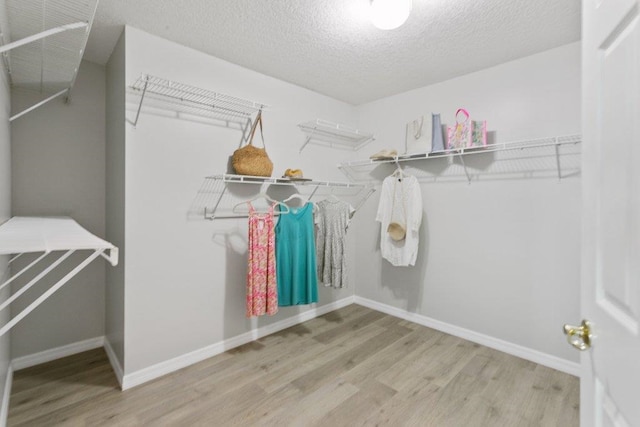 spacious closet with wood-type flooring