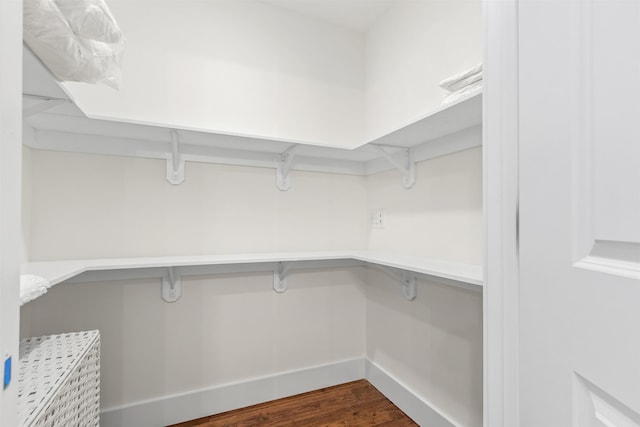 spacious closet featuring dark hardwood / wood-style floors