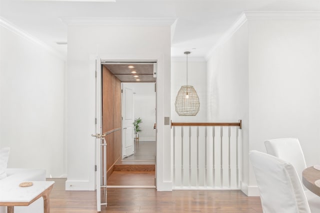 corridor with wood-type flooring and crown molding